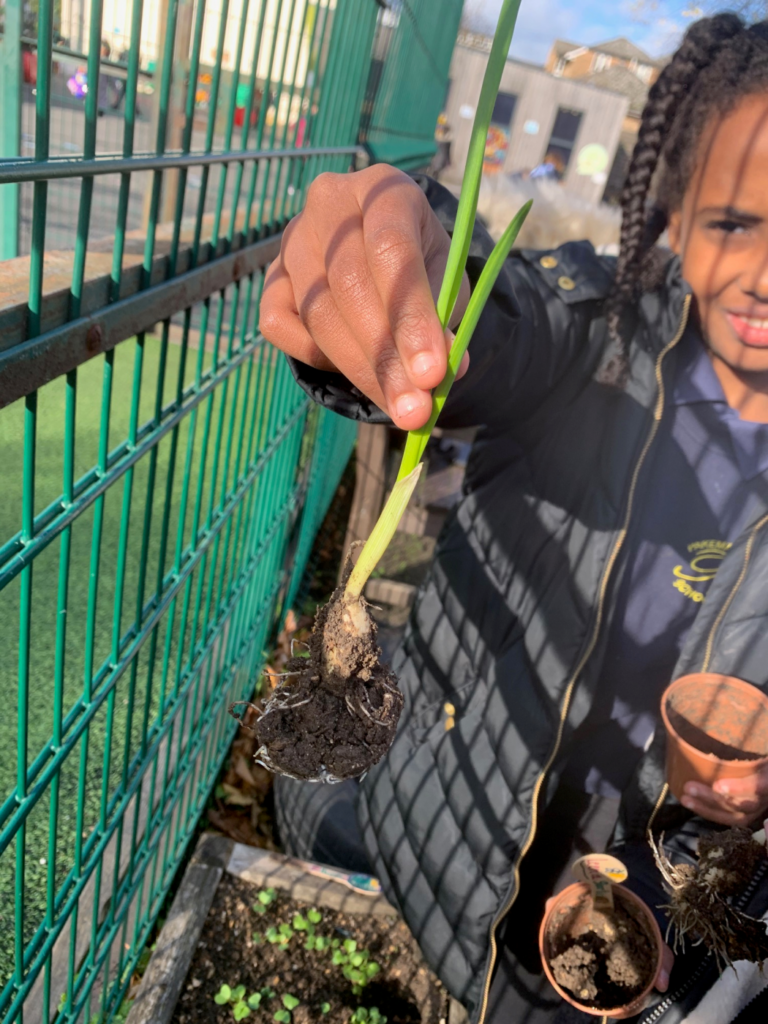 Rainbow Gardening Club - Pakeman Primary School