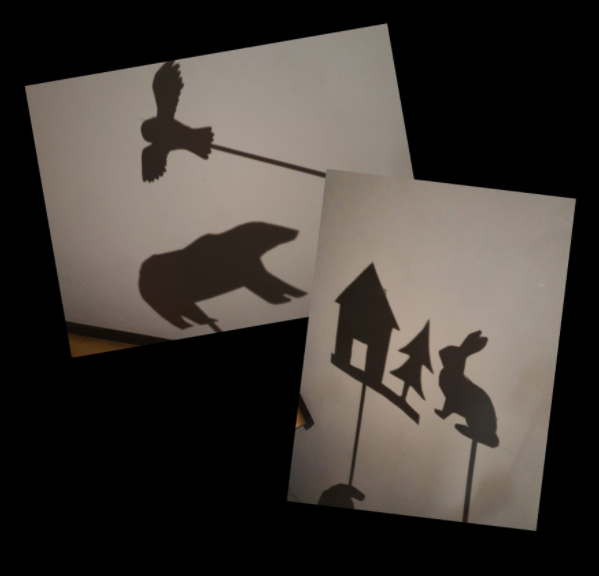 Science in years 1 and 2 Pakeman Primary School