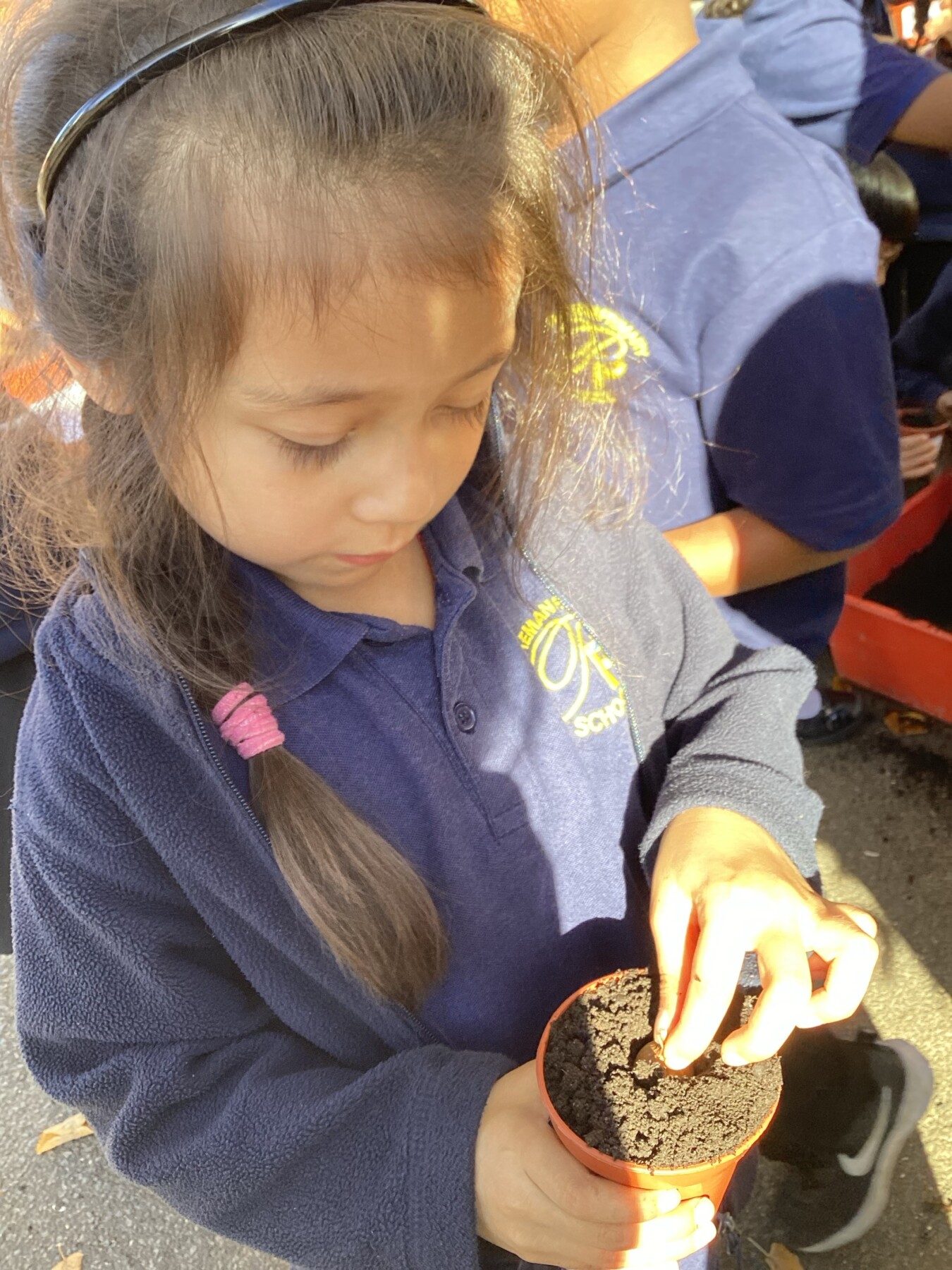 Planting Bulbs - Pakeman Primary School