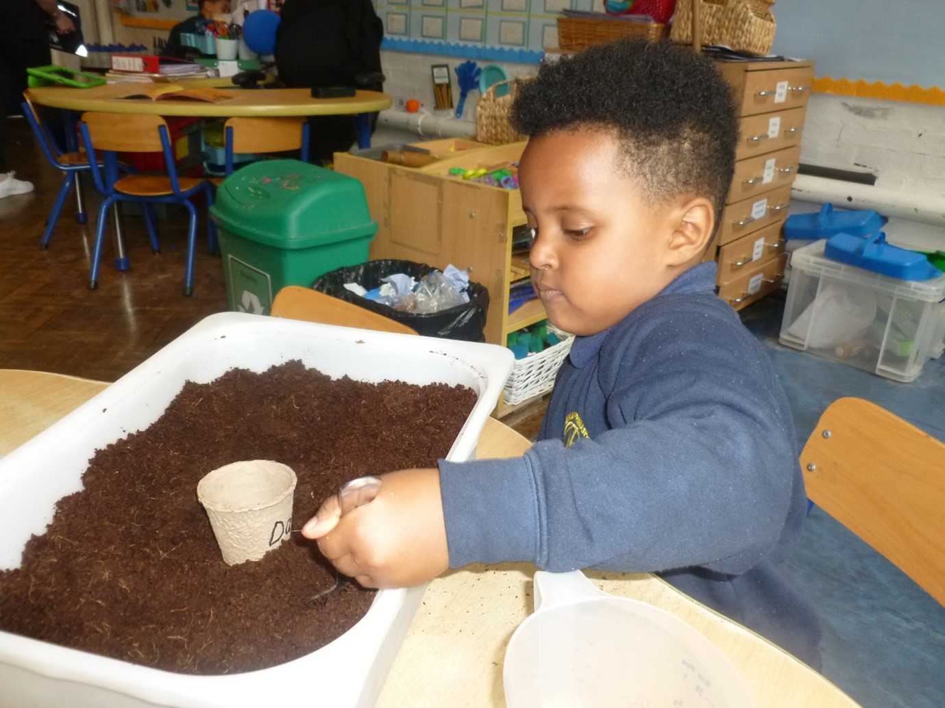 Growing Sunflowers - Pakeman Primary School