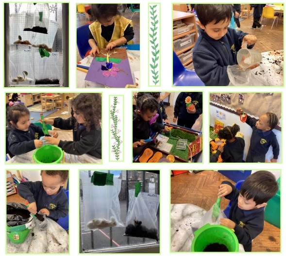 All About Plants In The Nursery - Pakeman Primary School